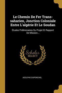 Le Commerce Trans-Saharien: Un Échange Vibrant entre le Royaume du Kanem-Bornou et l'Empire Romain en 2ème siècle ap. J.-C.